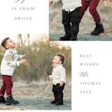 "A Perfect Gift" - Holiday Cards in Cranberry by Erin Deegan - Detail