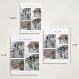 "Happy Holiday" - Holiday Cards in Eucalyptus by Wildfield Paper Co - Formats Available