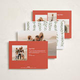 "Holly Garland and Bow" - Holiday Cards in Candy Cane by Paula Pecevich - Back of Card Options