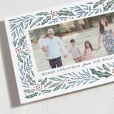 "Painted Forest Frame" - Holiday Cards in Snow by Kristen Knechtel - Detail