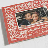 "Spruced" - Holiday Cards in Poinsettia by Amy Kross - Detail