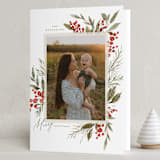 "Holly Berries + Pine" - Holiday Cards in Holly Berry by Wildfield Paper Co - Folded Card