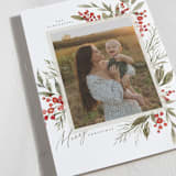 "Holly Berries + Pine" - Holiday Cards in Holly Berry by Wildfield Paper Co - Detail