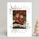 "Foliage Flourish" - Holiday Cards in Holly Berry by Everett Paper Goods - Front