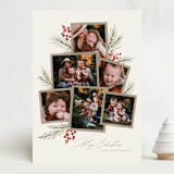 "Pine + Sprig" - Holiday Cards in Birch by Wildfield Paper Co - Front