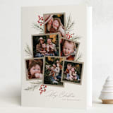 "Pine + Sprig" - Holiday Cards in Birch by Wildfield Paper Co - Folded Card