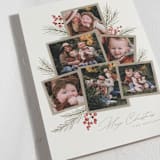 "Pine + Sprig" - Holiday Cards in Birch by Wildfield Paper Co - Detail