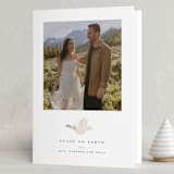 "Papercut Dove" - Holiday Cards in Spruce by Paula Pecevich - Folded Card