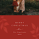 "Branching Out" - Holiday Cards in Mulled Wine by Olivia Raufman - Detail