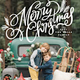 "Soft and Merry Branches" - Holiday Cards in Snow by Makewells - Detail