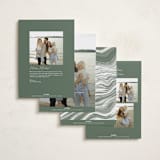 "Joy the the World Scripted" - Holiday Cards in Pine by Pixel and Hank - Back of Card Options