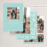 "Abiding" - Holiday Cards in Frost by Jennifer Wick - Back of Card Options