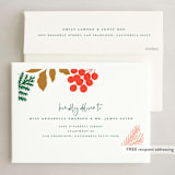 "Bright Season" - Holiday Cards in Evergreen by Michelle Taylor - FREE Recipient Addressing