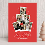"Instapix Tree" - Holiday Cards in Cranberry by Shari Margolin - Front