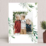 "Festive Ferns" - Holiday Cards in Parakeet by Eve Schultz - Front