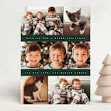 "Classy Collage" - Holiday Cards in Pine Bough by Ekko Studio - Front