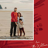 "Pinecrest" - Holiday Cards in Poinsettia by Robert and Stella - Detail
