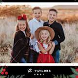 "Cranberry Garden" - Holiday Cards in Midnight by Alethea and Ruth - Detail