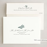 "White Pine" - Holiday Cards in Pine by Susan Moyal - FREE Recipient Addressing