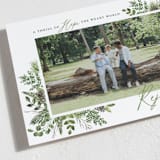 "Hopeful World" - Holiday Cards in Evergreen by Beth Schneider - Detail