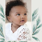 "Pine Wisps" - Holiday Cards in Teal by Kimberly Morgan - Detail