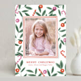 "Berries & Candy Canes" - Holiday Cards in Candy Cane by Oscar and Emma - Karly Depew - Front