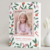 "Berries & Candy Canes" - Holiday Cards in Candy Cane by Oscar and Emma - Karly Depew - Folded Card