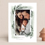"sweeping sprigs" - Holiday Cards in Mint by Rebecca Durflinger - Front
