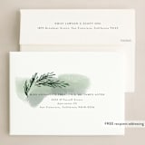 "sweeping sprigs" - Holiday Cards in Mint by Rebecca Durflinger - FREE Recipient Addressing