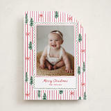 "Trees and bows" - Holiday Cards in Stocking by Creo Study - Front
