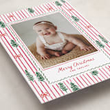 "Trees and bows" - Holiday Cards in Stocking by Creo Study - Detail
