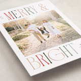 "Merry and Bright" - Holiday Cards in Snow by Pixel and Hank - Detail