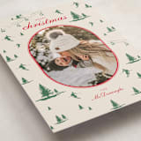 "Ski Time" - Holiday Cards in Sage by Jen Ramsey - Detail
