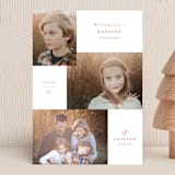 "Classic Album" - Holiday Cards in Holly Berry by Corinne Malesic - Front