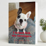 "Helping" - Holiday Cards in Chewed Stocking by Hudson meet Rose - Folded Card