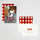 "Helping" - Holiday Cards in Chewed Stocking by Hudson meet Rose - Assembled