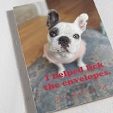 "Helping" - Holiday Cards in Chewed Stocking by Hudson meet Rose - Detail