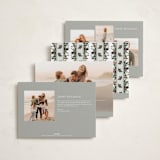 "Holiday Display" - Holiday Cards in Pearl by Chris Griffith - Back of Card Options