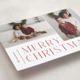 "Pair" - Holiday Cards in Holly Berry by Pixel and Hank - Detail