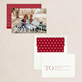 "Joyful Tidings" - Holiday Cards in Snowfall by Susan Asbill - Assembled