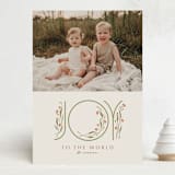 "Sweet Splendor" - Holiday Cards in Linen by Karen Glenn - Front