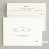 "Snowberry Wreath" - Holiday Cards in Poinsettia by Wildfield Paper Co - FREE Recipient Addressing