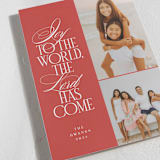 "Joyful World" - Holiday Cards in Stocking by Olivia Raufman - Detail