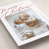 "Elements" - Holiday Cards in Holly by Pixel and Hank - Detail