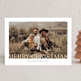 "Holiday Light" - Holiday Cards in Snow by Betsy Siber - Front