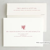 "Season's Greetings" - Holiday Cards in Pomegranate by Benita Crandall - FREE Recipient Addressing