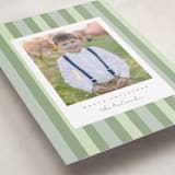 "Christmas stripe" - Holiday Cards in Sage by Sara Hicks Malone - Detail