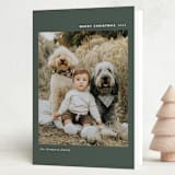 "Simple Greeting" - Holiday Cards in Fir by Ashley Iwafuchi - Folded Card