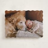 "very merry little Christmas" - Holiday Cards in Snowfall by Leah Ragain - Front