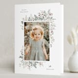 "Pine & Berry" - Holiday Cards in Winter Bough by Itsy Belle Studio - Folded Card